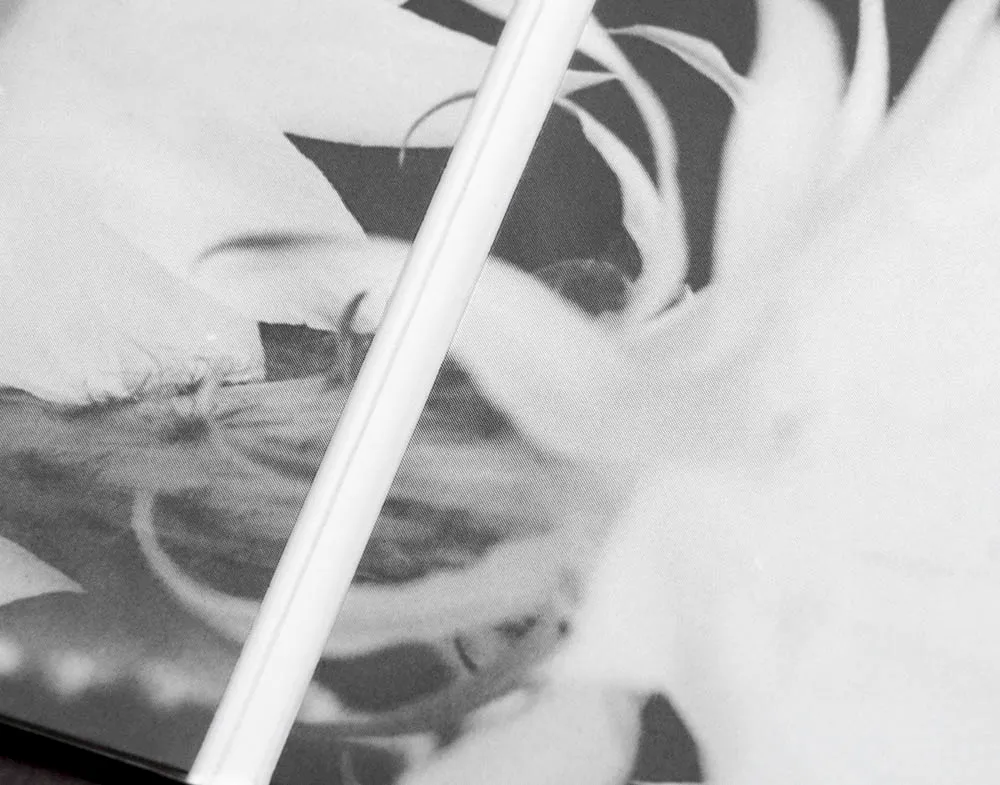 Close-up of the booklet fold with a blurred black-and-white photograph of a flower